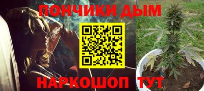 индика Ирбит