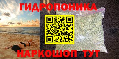 индика Ирбит