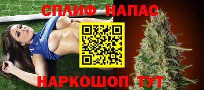 индика Ирбит