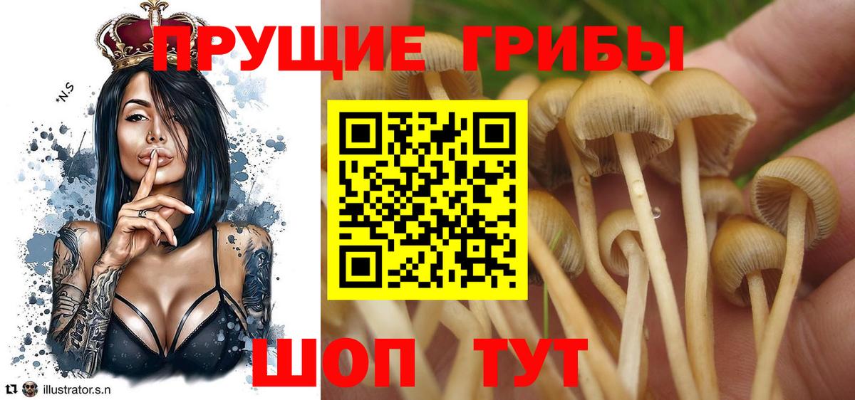 Галлюциногенные грибы ЛСД Керчь